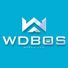 WDBOS - Tantangan Penuh Strategi dalam Permainan Puzzle